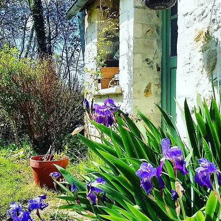 Les De Capucine Carcagny